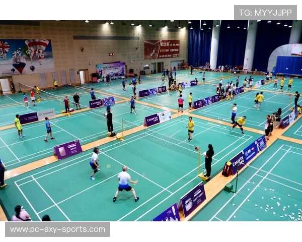 聚焦羽毛球：探讨杭州羽毛球队如何通过团队协作提升竞技水平与凝聚力