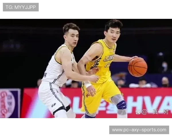 广东与浙江篮球对决数据深度分析及战术解析